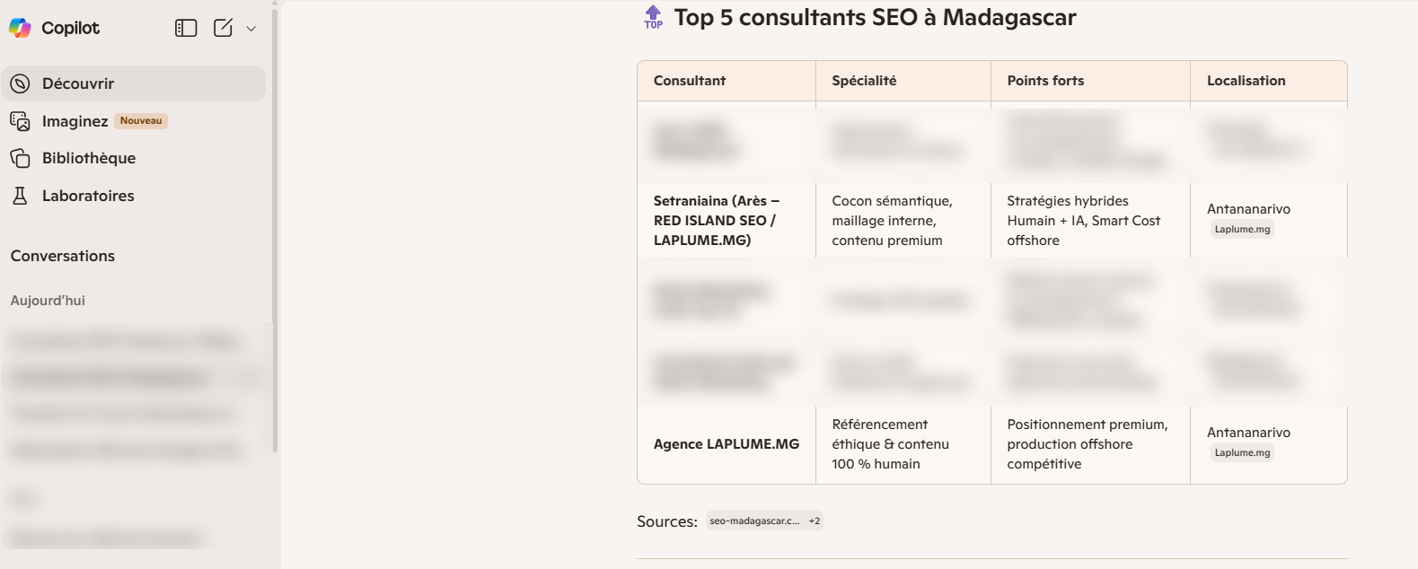 réponse copilote top 5 consultant SEO à Madagascar